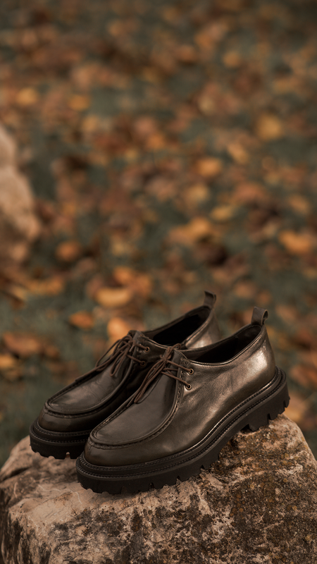 Oxford 2024 inverno 2019